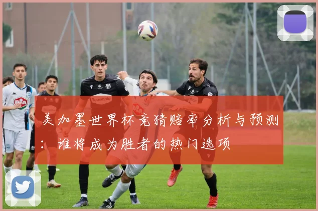 美加墨世界杯竞猜赔率分析与预测：谁将成为胜者的热门选项