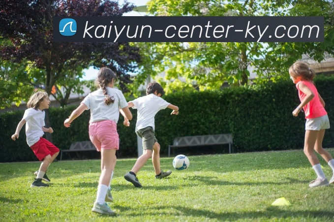 开云平台生态图